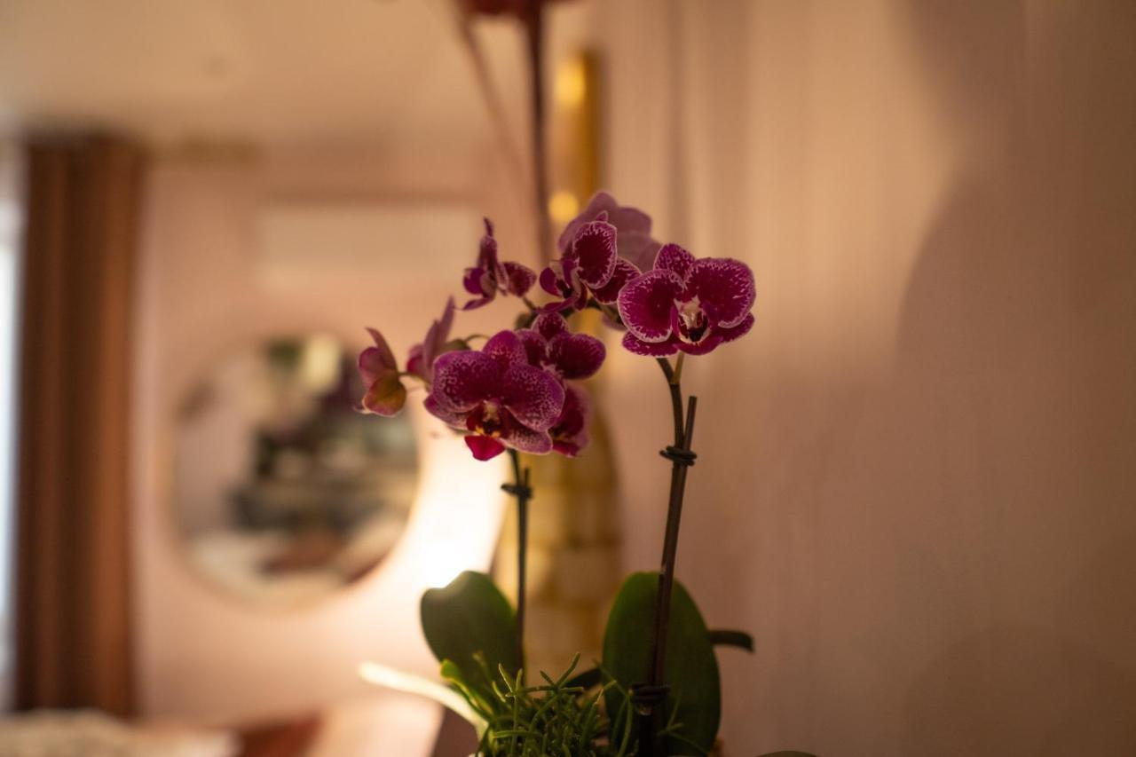Studio Coeur De Ville Sanary Tres Cosy Parking Экстерьер фото