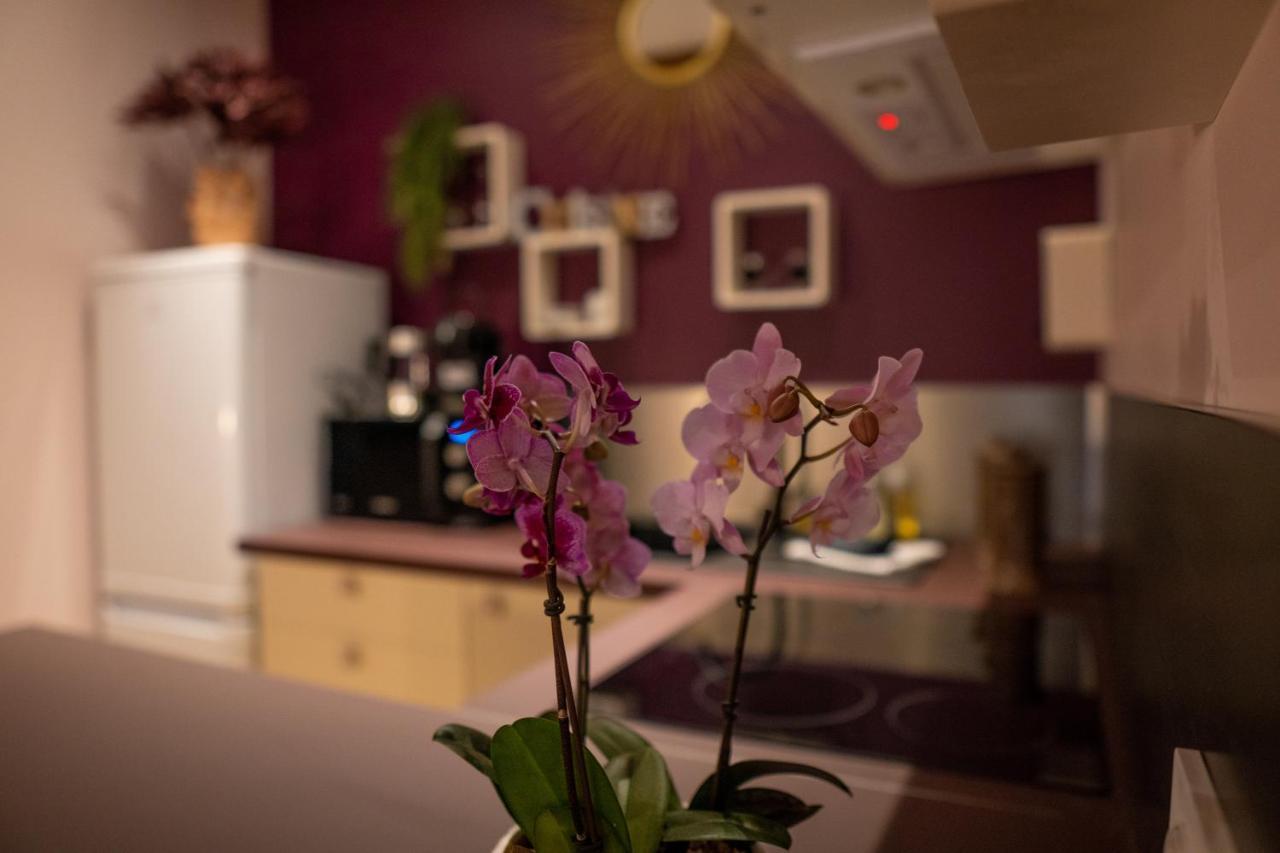 Studio Coeur De Ville Sanary Tres Cosy Parking Экстерьер фото
